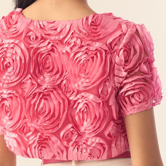 Anthropologie hutch cropped rosette appliqué topper size M/L NWT - Picture 3 of 10